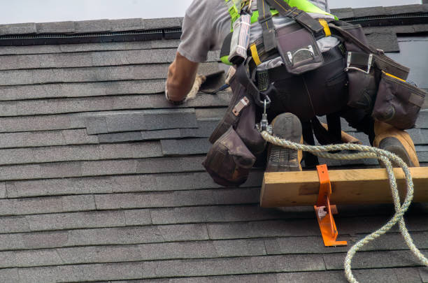 Best Metal Roofing Contractor  in Meadowbrook, VA